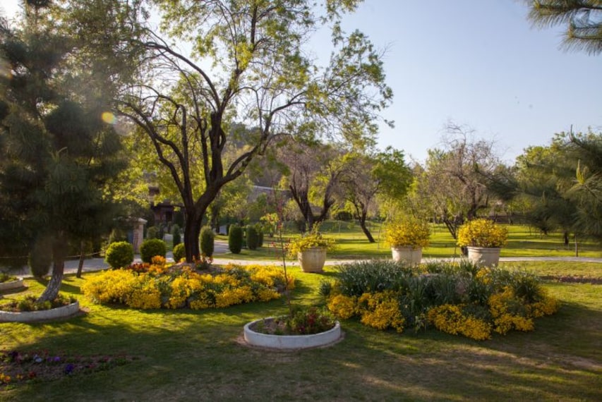 Srinagar Badamwari Garden_1